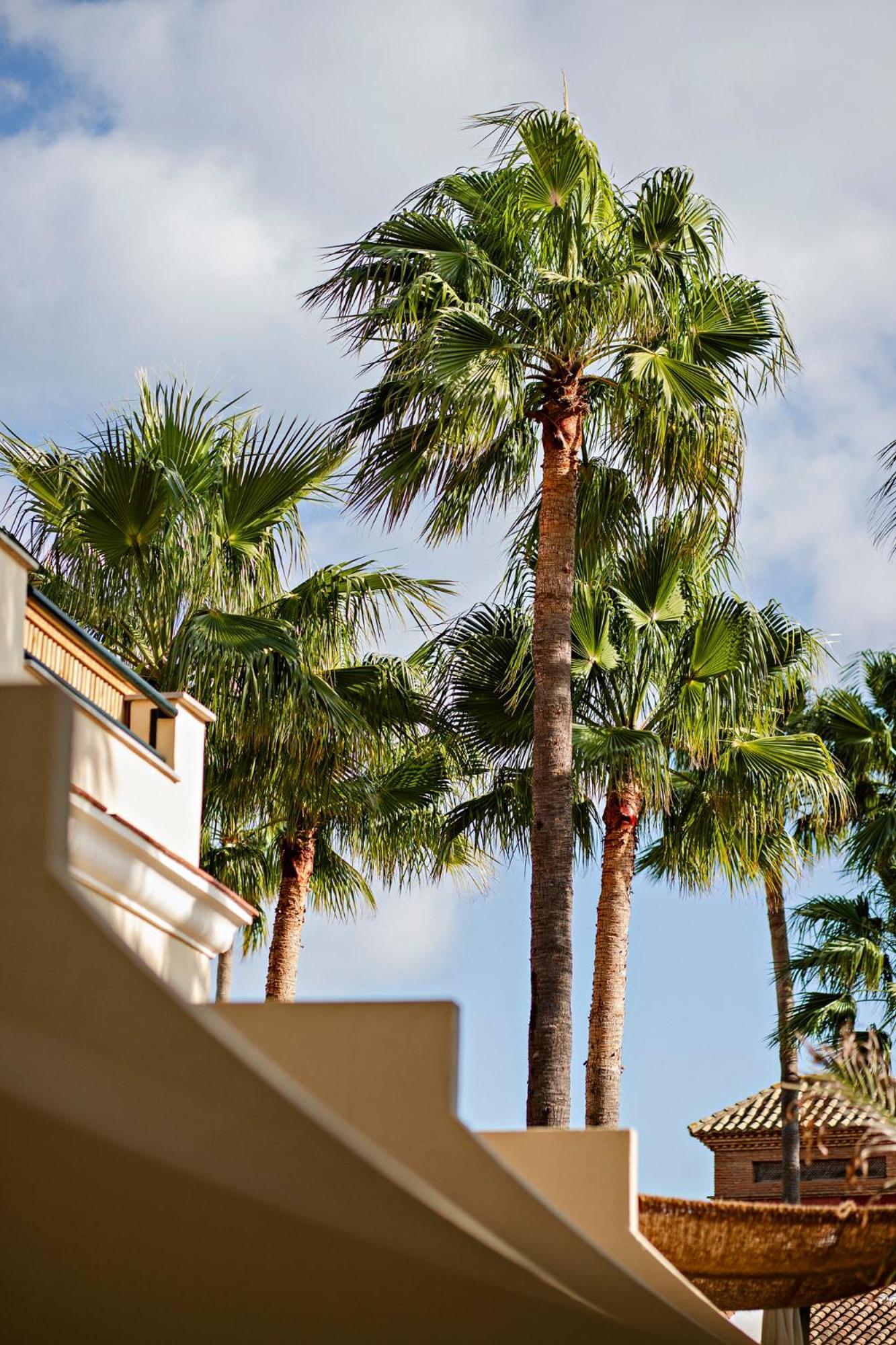 Alcaidesa Boutique Hotel Dış mekan fotoğraf